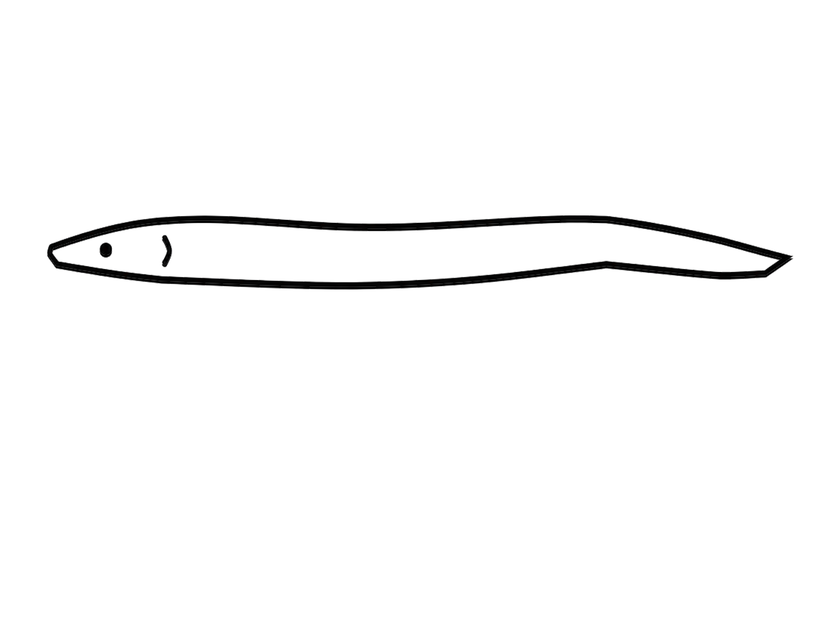 Eel