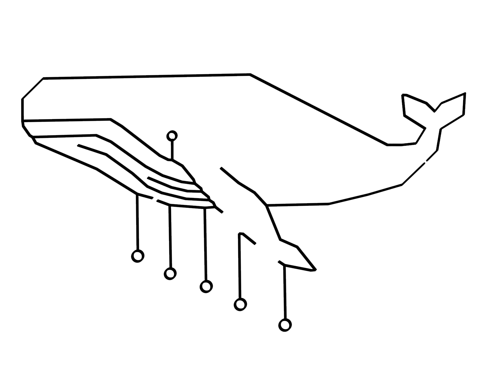 Whale